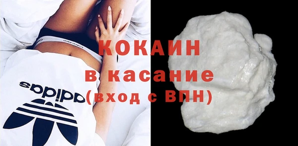 индика Алзамай