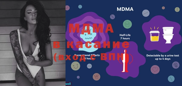 индика Алзамай