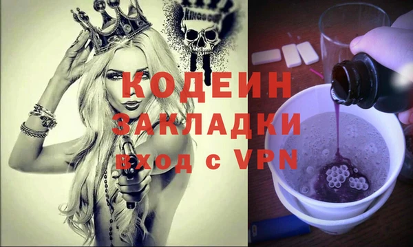 индика Алзамай