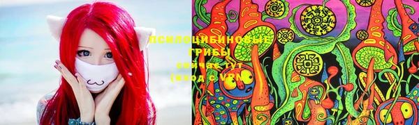 индика Алзамай
